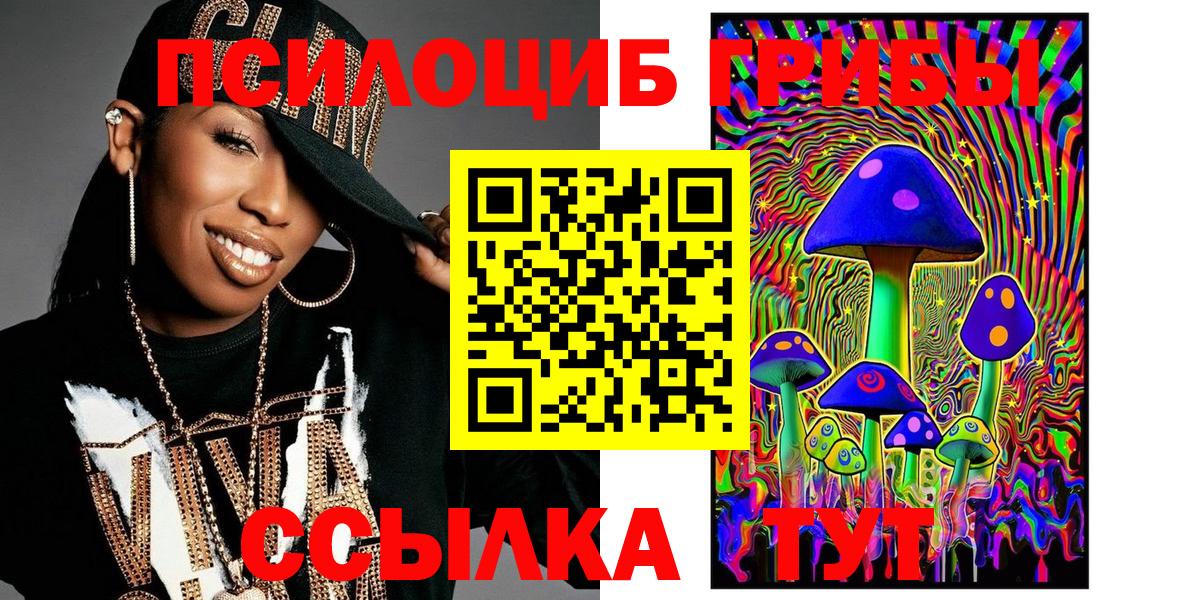 Псилоцибиновые грибы Psilocybine cubensis Чебаркуль