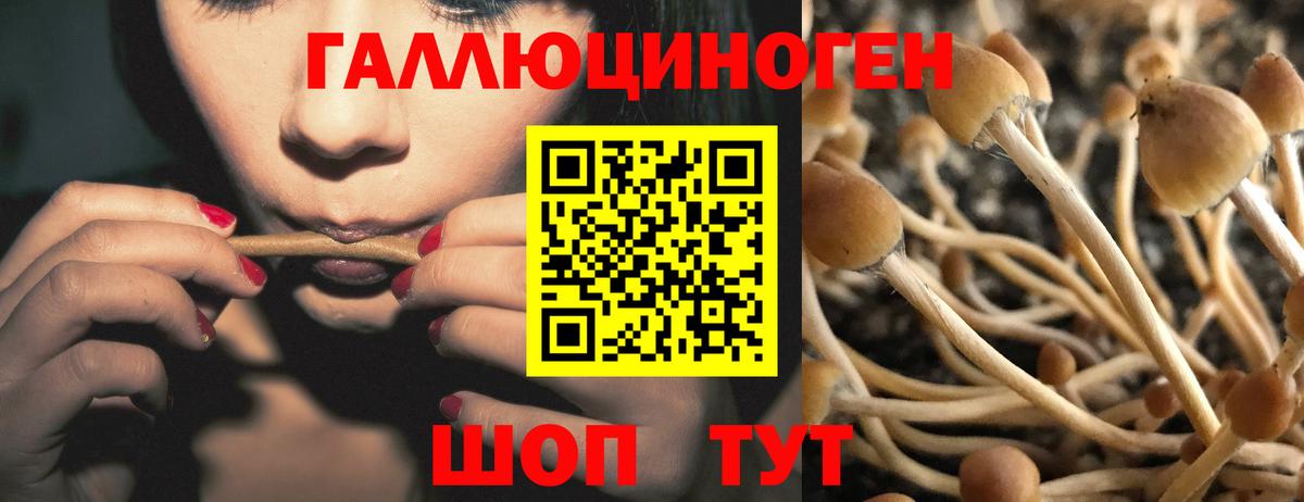Псилоцибиновые грибы прущие грибы  Псилоцибиновые грибы прущие грибы  Чебаркуль  Вход с VPN 